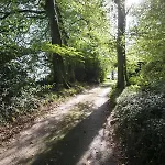 Middlefield Water *