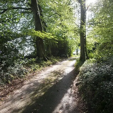 Middlefield Water *